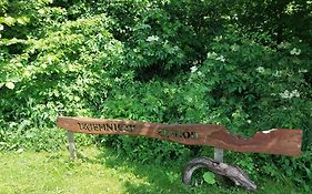 Bieszczadzkie Marzenie Wetlina